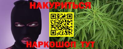 стафф Гай