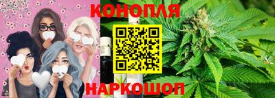 стафф Гай