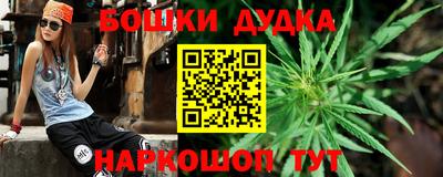гидра Гагарин