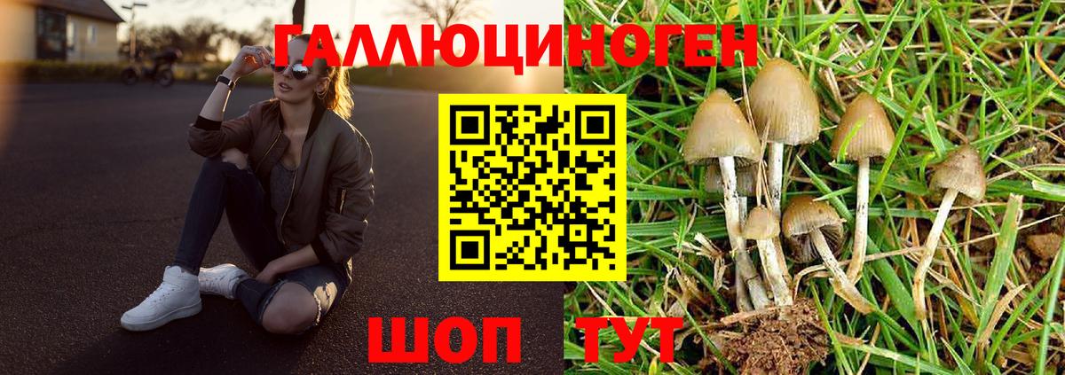 Горячий Ключ  Псилоцибиновые грибы MAGIC MUSHROOMS  Вход с VPN 